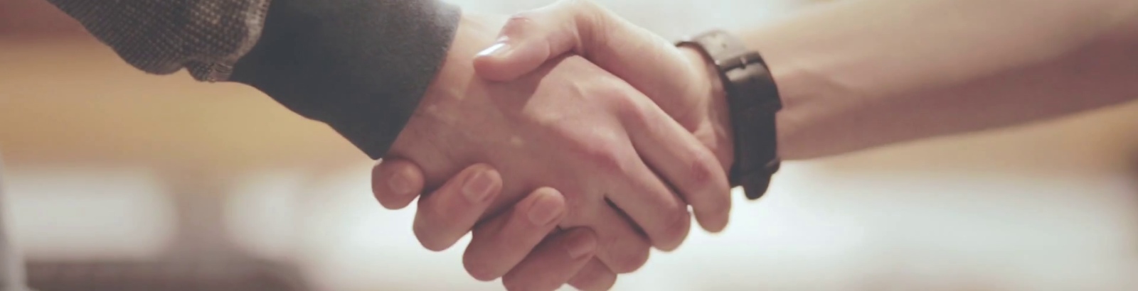 two people engaged in a handshake