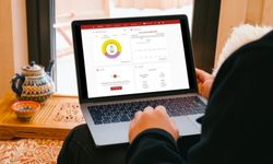 a person using profinium money pro on their laptop
