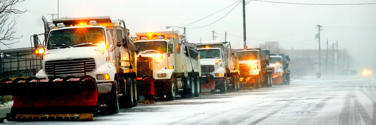 a line of snow pile trucks