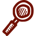 magnifying glass icon