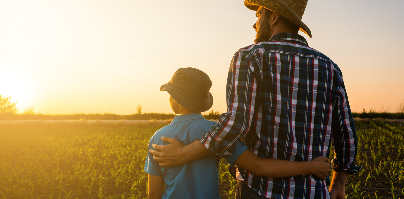 a father and son standing in a crop field