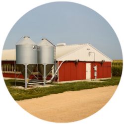 hog barn on farm